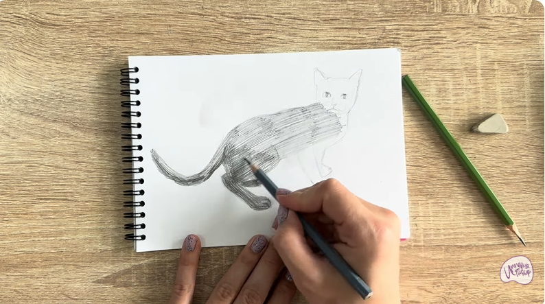 Рисуем Бомбейская кошка