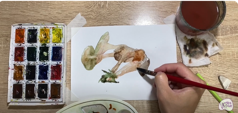 Рисуем Аскокорине торфяная