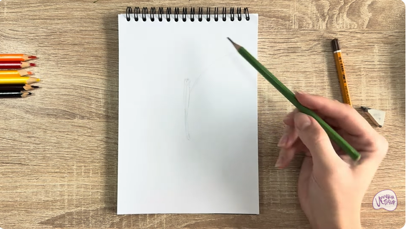 Рисуем Малинница обыкновенная