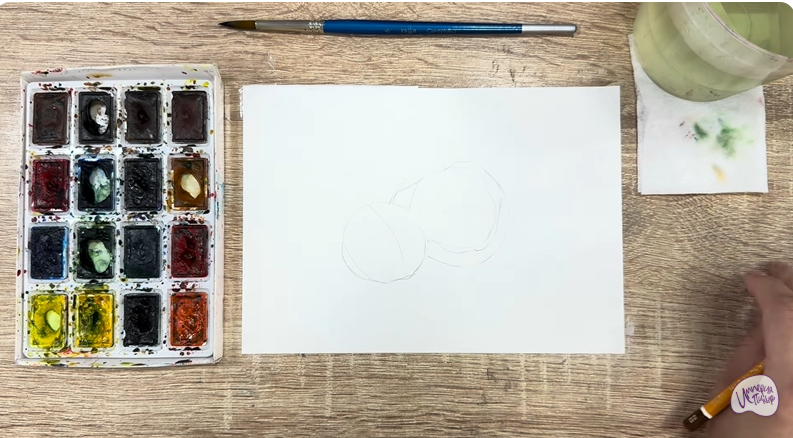 Рисуем Макадамия