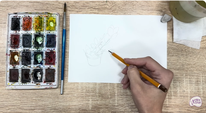 Рисуем Пеллиония в горшке