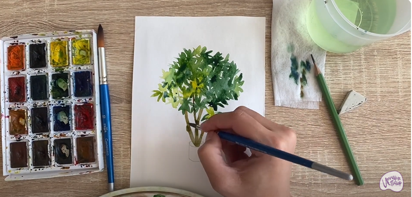 Рисуем Бересклет