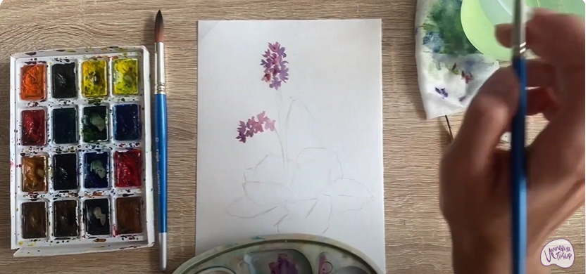 Рисуем Бадан