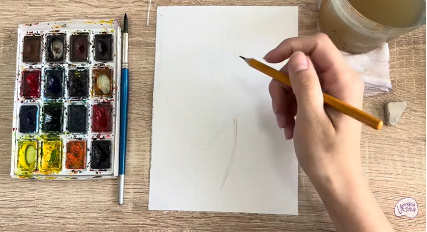 Рисуем Лист фатсии