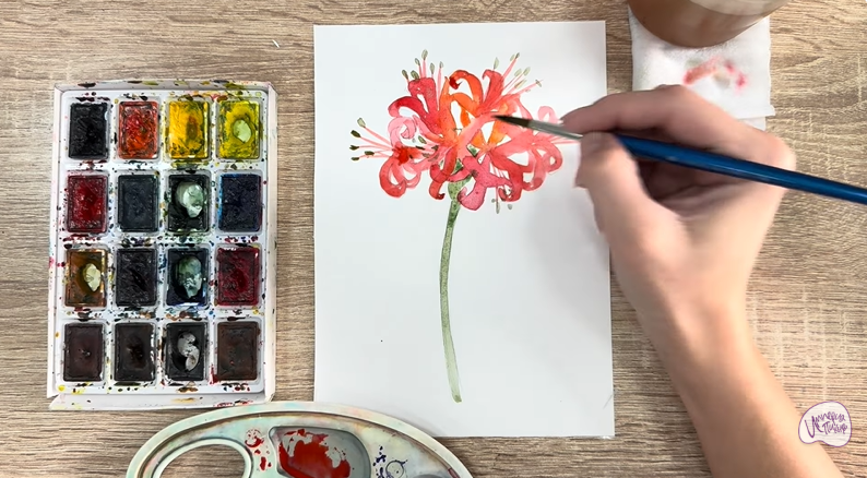 Рисуем Ликорис