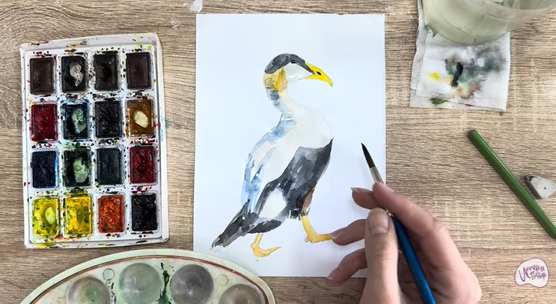 Рисуем Обыкновенная гага