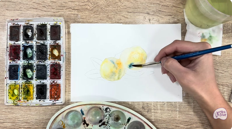 Рисуем Макадамия