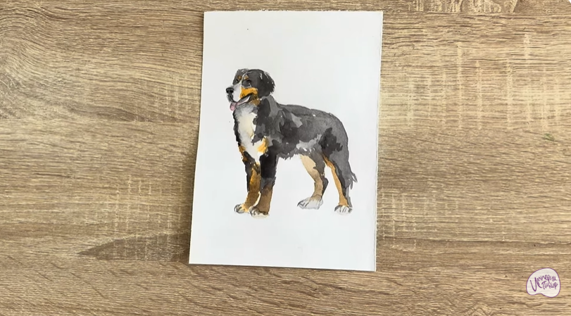 Рисуем Собака породы Бернский зенненхунд