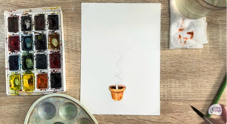 Рисуем Мирт обыкновенный