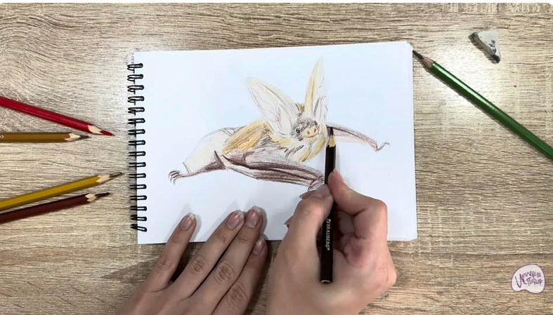 Рисуем Бурый ушан