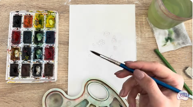 Рисуем Тис ягодный