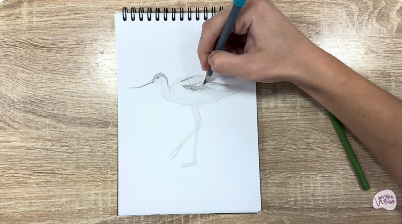 Рисуем Шилоклювка