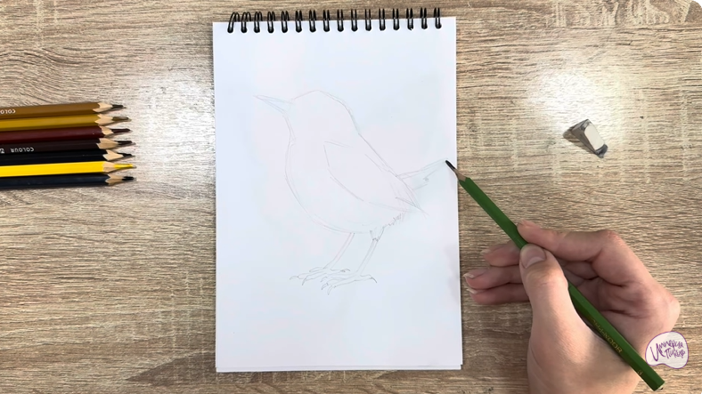 Рисуем Крапивник