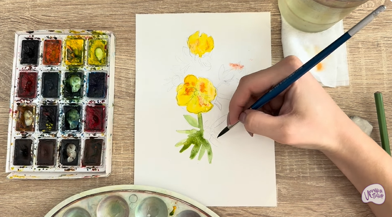 Рисуем Лапчатка