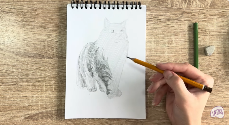 Рисуем Норвежский лесной кот