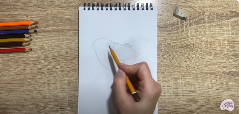 Рисуем Птичка "Зарянка"