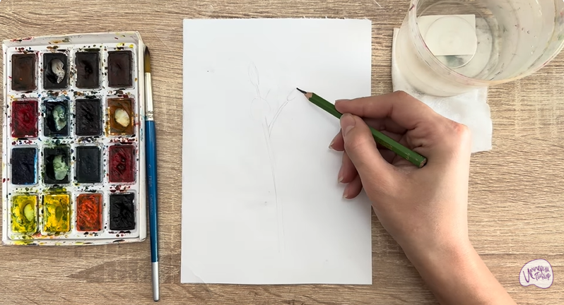 Рисуем Ясколка длинноволосая