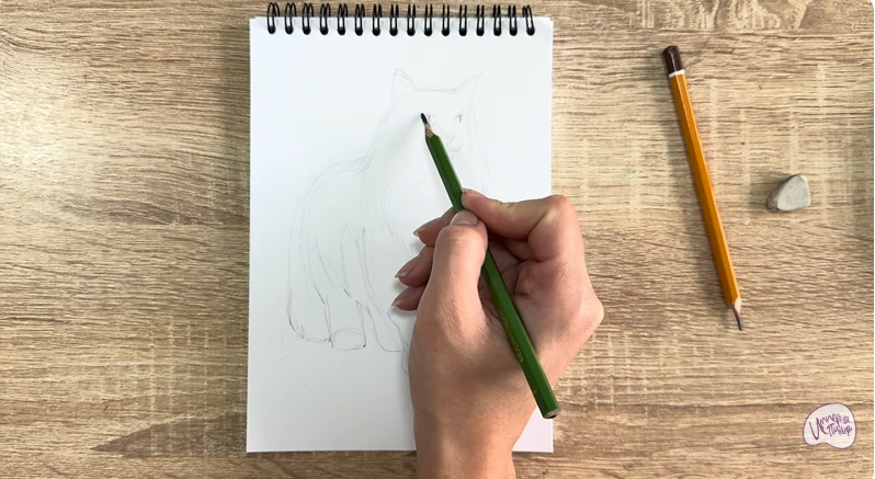 Рисуем Норвежский лесной кот