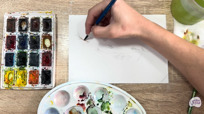 Рисуем Тимьян