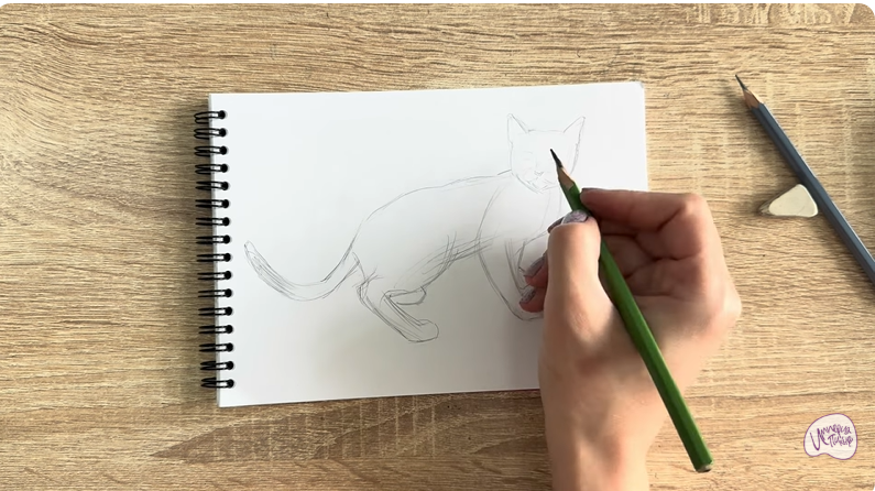 Рисуем Бомбейская кошка