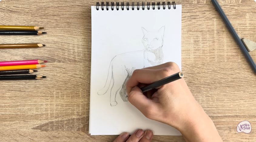 Рисуем Кошка Бурмилла