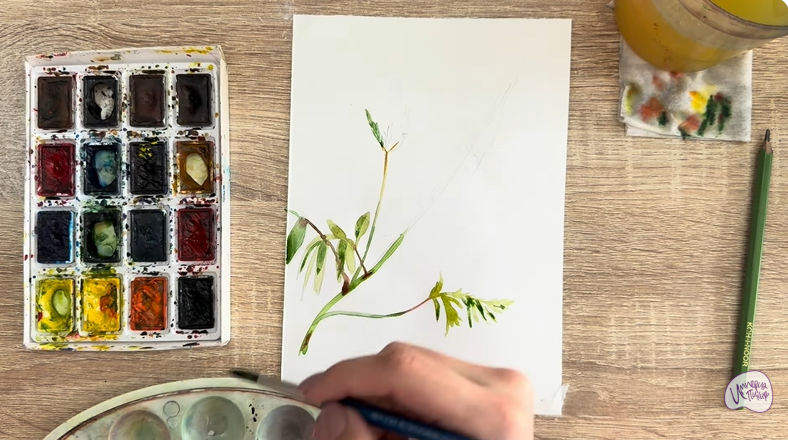 Рисуем Аморфа