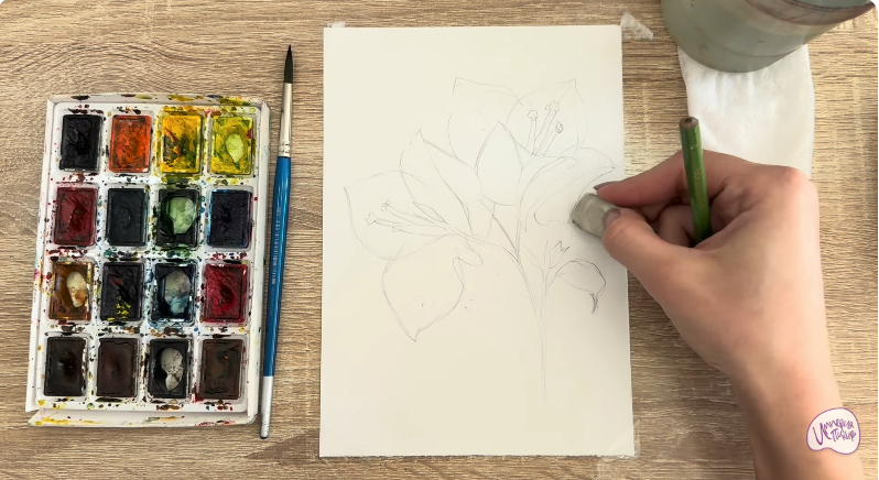 Рисуем Бугенвиллея