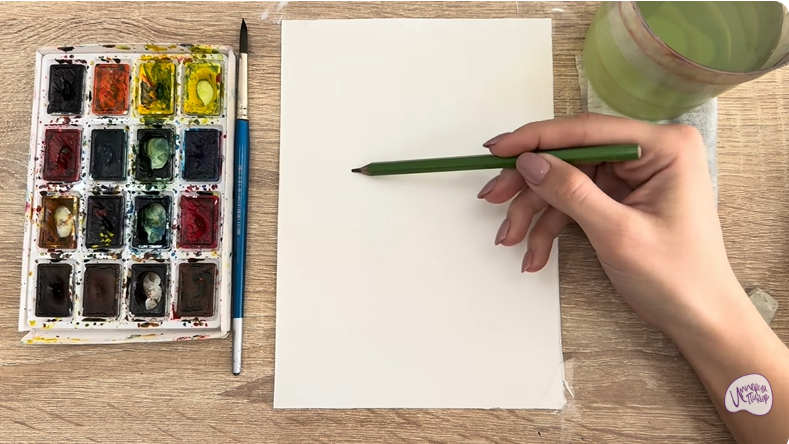 Рисуем Тис ягодный