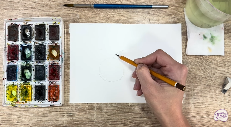 Рисуем Макадамия