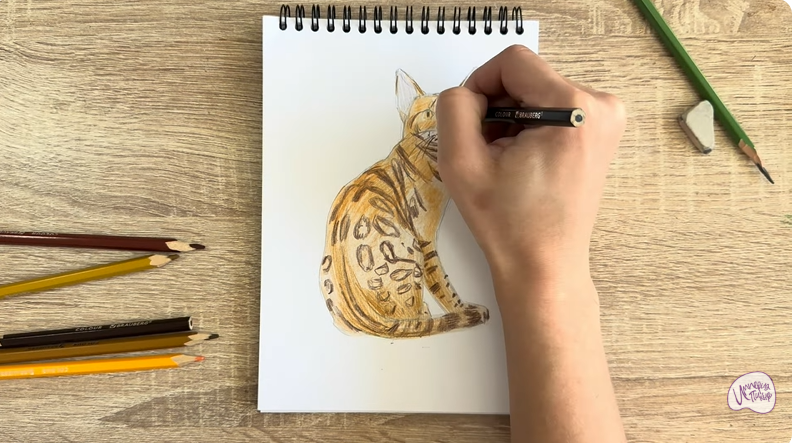 Рисуем Кошка Тойгер