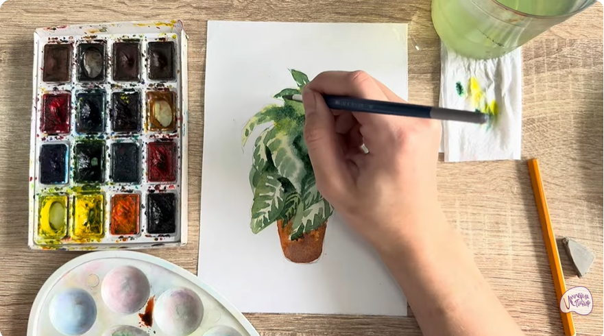 Рисуем Афеландра в горшке