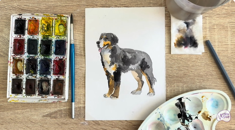 Рисуем Собака породы Бернский зенненхунд