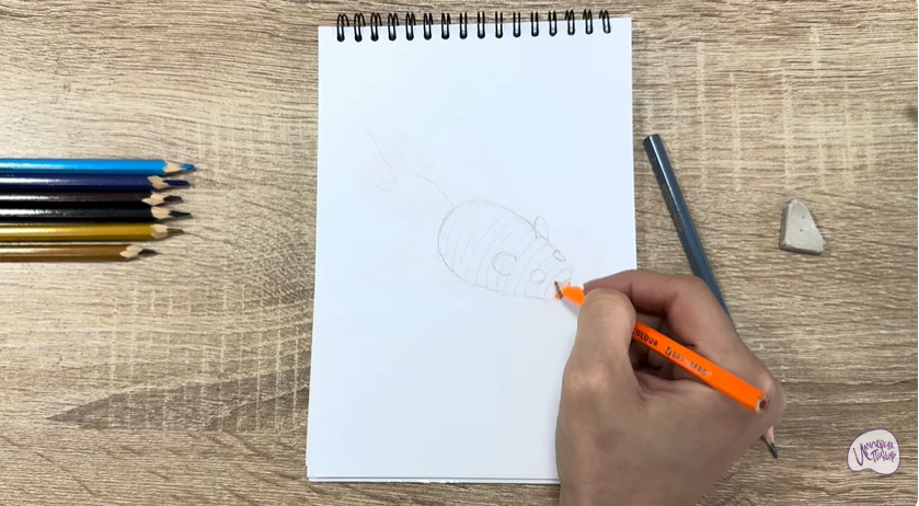 Рисуем Игрушка для кошки