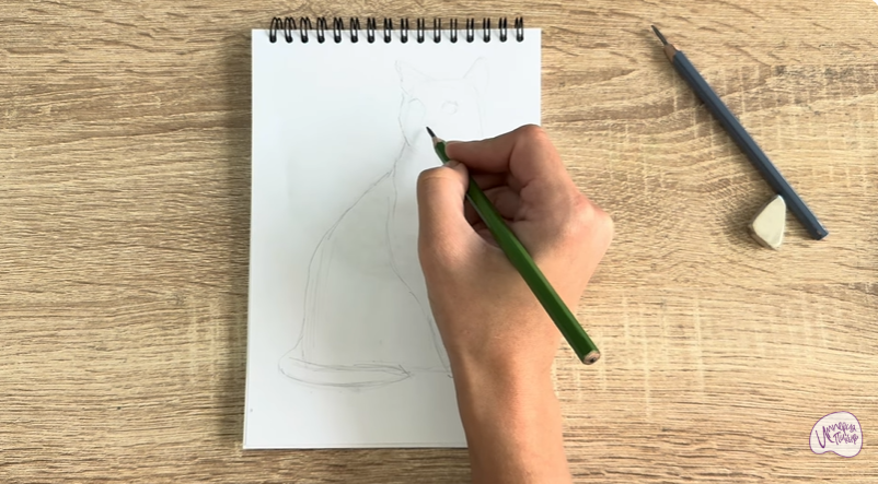 Рисуем Бурманский кот