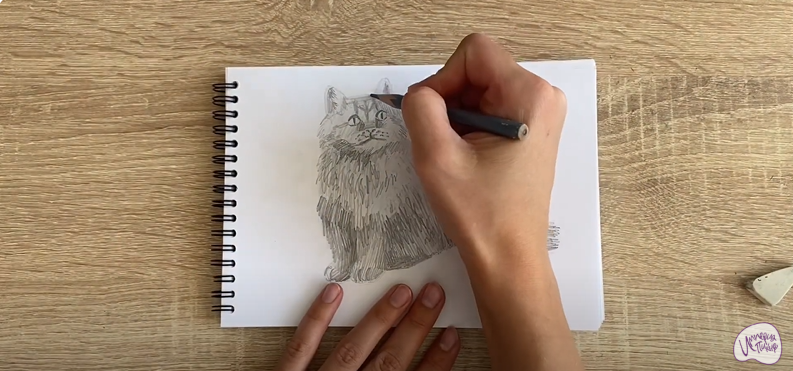 Рисуем Богемский рекс