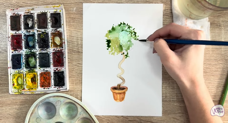 Рисуем Мирт обыкновенный