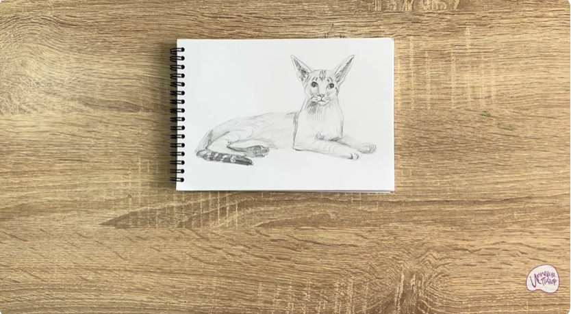 Рисуем Ориентальная кошка