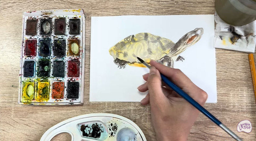 Рисуем Красноухая черепаха