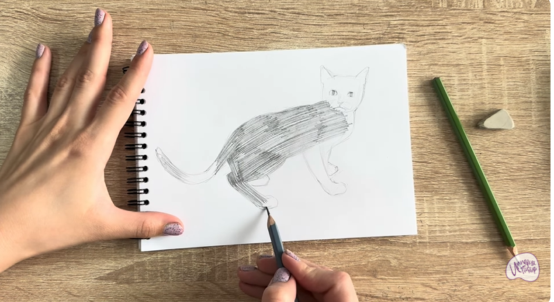 Рисуем Бомбейская кошка