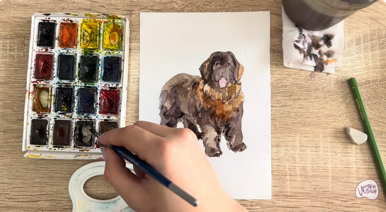 Рисуем Собака породы Ньюфаундленд