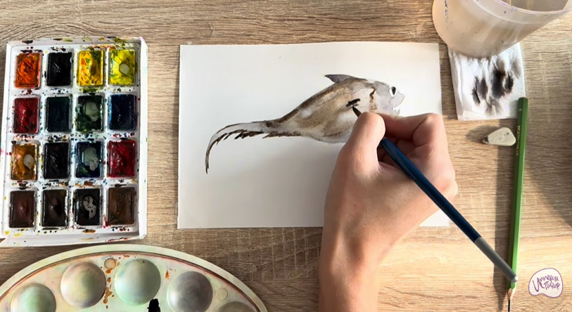 Рисуем Макрурус