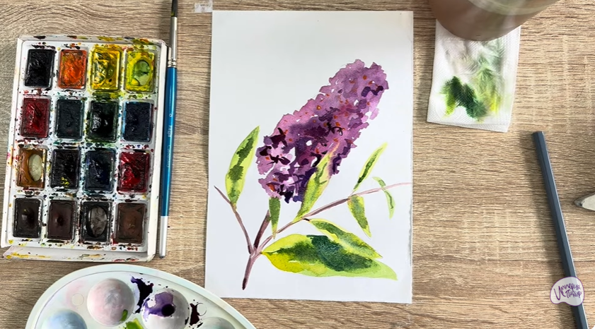 Рисуем Буддлея Давида