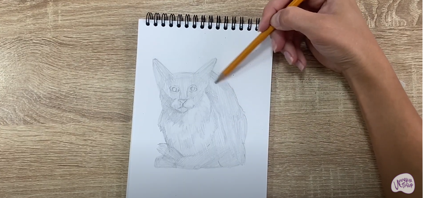 Рисуем Балинезийская кошка