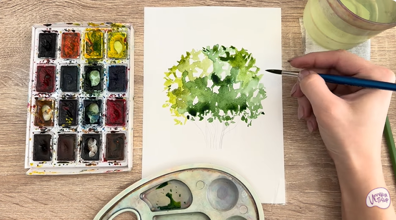 Рисуем Саженец бирючины