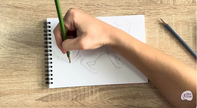 Рисуем Бомбейская кошка