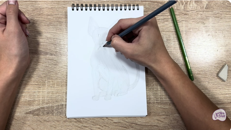 Рисуем Девон Рекс