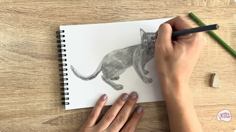 Рисуем Бомбейская кошка