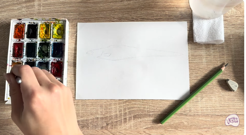 Рисуем Конгрио