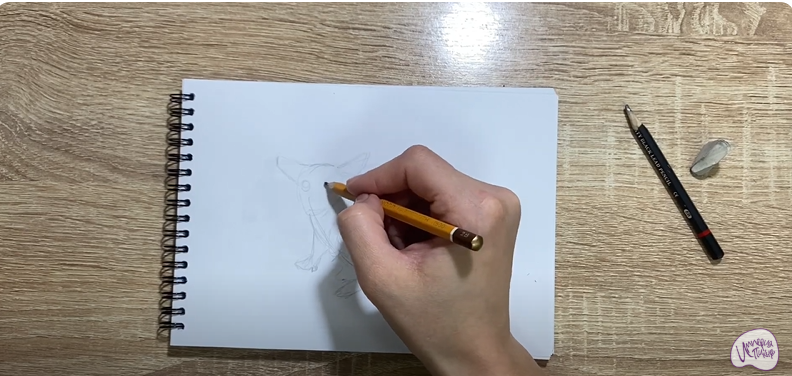 Рисуем Галаго