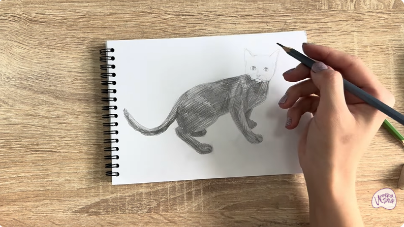 Рисуем Бомбейская кошка